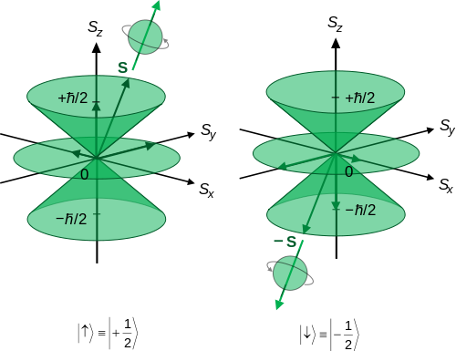 Figure 4: A model of the fourth quantum number, spin (s).  Shown here are models for particles with spin (s) of ½, or half angular momentum.