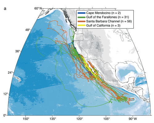 Figure 2: Individual migration patterns for 92 tagged blue whales (Balaenoptera musculus) tracked between 1994 and 2007 in the Pacific Northeast, color-coded by deployment location. These migration patterns represent a small subsample of a much larger statistical population: all of the possible blue whale migration patterns that occurred in the Pacific Northeast from 1994 to 2007. Image from Bailey, H., Mate, B.R., Palacios, D.M., et al. 2010. Behavioural estimation of blue whale movements in the Northeast Pacific from state space model analysis of satellite tracks. Endangered Species Research 10, 93–106.