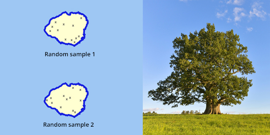 Figure 3: Example of random sampling. To collect a representative subsample of insects living on the oak trees on an island, researchers randomly selected 12 geographic coordinates throughout the island. The figure on the left shows what two random samples might have looked like, with each randomly selected location marked by an X. Every time the random sampling procedure is repeated, the distribution of sampling locations changes.