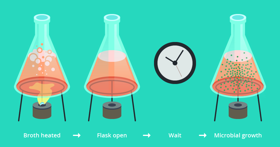 Figure 4a: Needham's spontaneous generation experiment. Needham heated the broth, let it sit uncovered for several days, then observed microorganisms in the fluid.