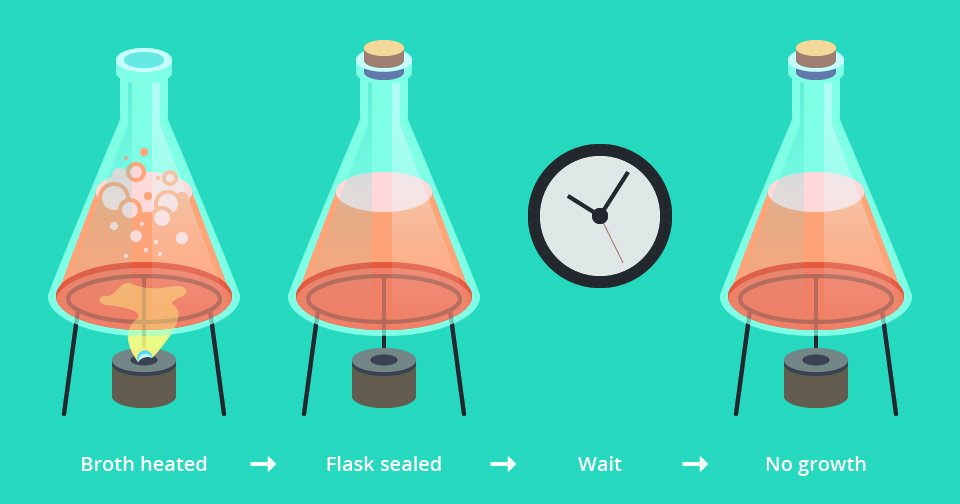 Figure 4b: Spallanzani performed Needham's experiment, but also tested a bottle of broth that was closed after boiling. He found no microorganisms grew in the closed bottle.