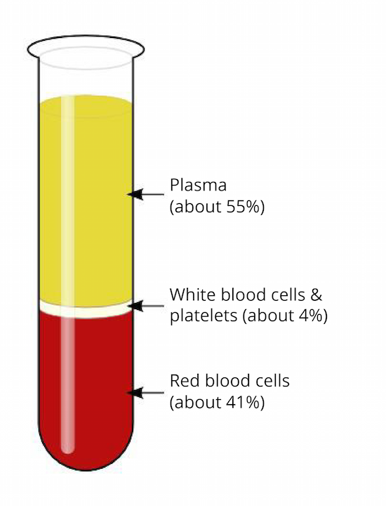 Figure 1: The average composition of blood. In this example, the blood is shown after spinning in a centrifuge so the different elements are separated: the heavier red blood cells at the bottom, then the white blood cells and platelets in the center, and the plasma at the top. The percentage of red blood cells is also known as hematocrit.