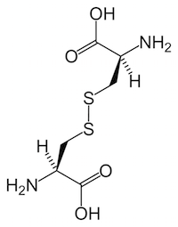 Figure 3: A disulfide bridge (the joined S molecules) connecting two cysteines.