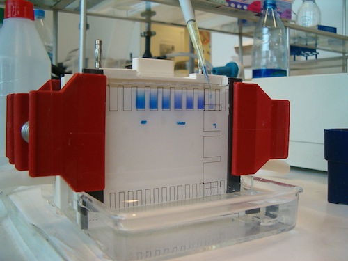 Figure 6: A modern example of gel electrophoresis. The laboratory set-up uses an electric current to separate molecules based on size.