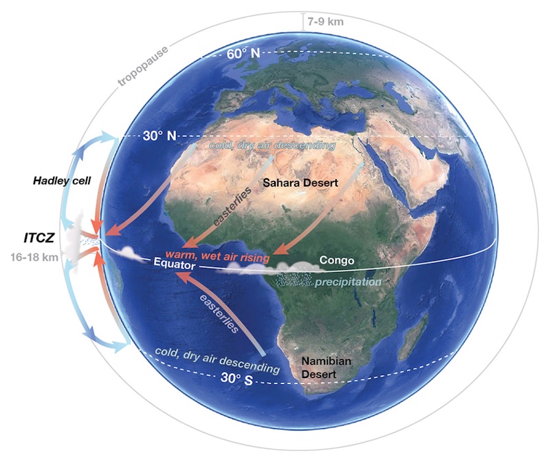 Figure 9: A diagram showing the relationship between the Hadley cell and continental climate. Note that the altitude of the tropopause is higher over the equator than over the poles, and the altitude is greatly exaggerated compared to the diameter of Earth.