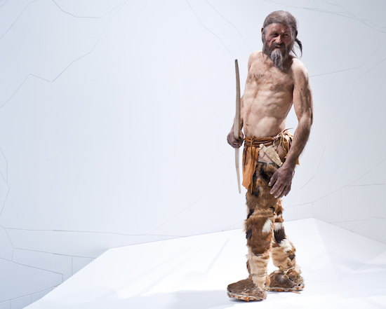 Figure 1: Reconstruction of Ötzi the Iceman by Kennis at the South Tyrol Museum of Archaeology.