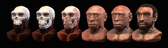 Figure 3: A forensic facial reconstruction of Homo heidelbergensis.