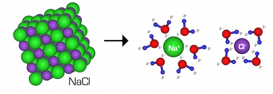 Figure 3: NaCl in water - the ionic bonds between the Na+ and Cl- ions are broken and the ions separate. The surrounding water molecules form hydrogen bonds with the ions.