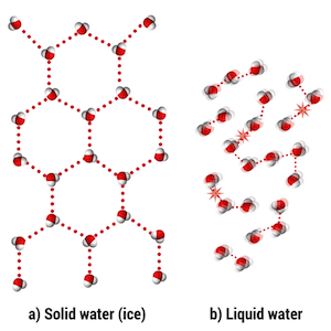 Figure 3: When water freezes, the similarly-charged ends of the dipoles repel each other, pushing molecules apart. This means there is more space between molecules in the solid than in the liquid, making the solid (aka, ice) less dense.
