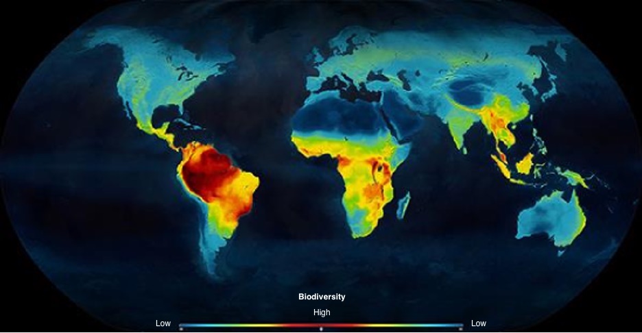 Figure 3: Map of global biodiversity.