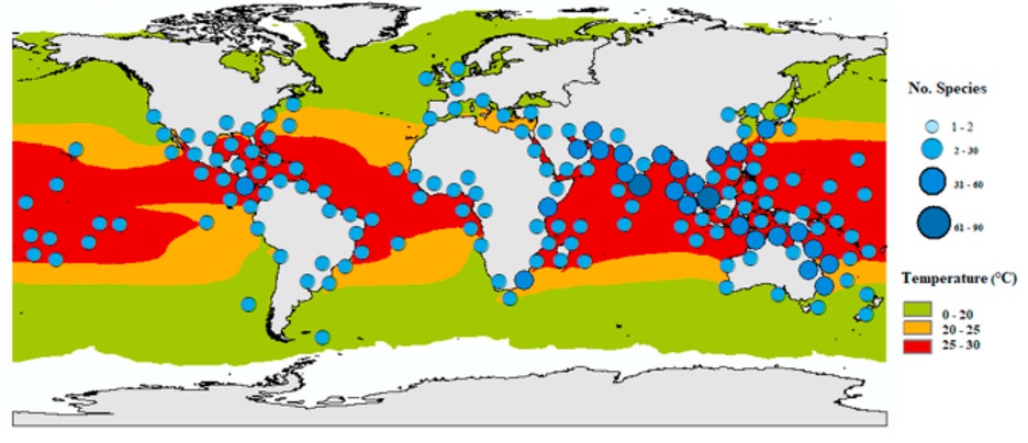 Figure 5: Map of numbers of species of mangrove crabs (blue dots) against sea surface temperatures (colored bands).