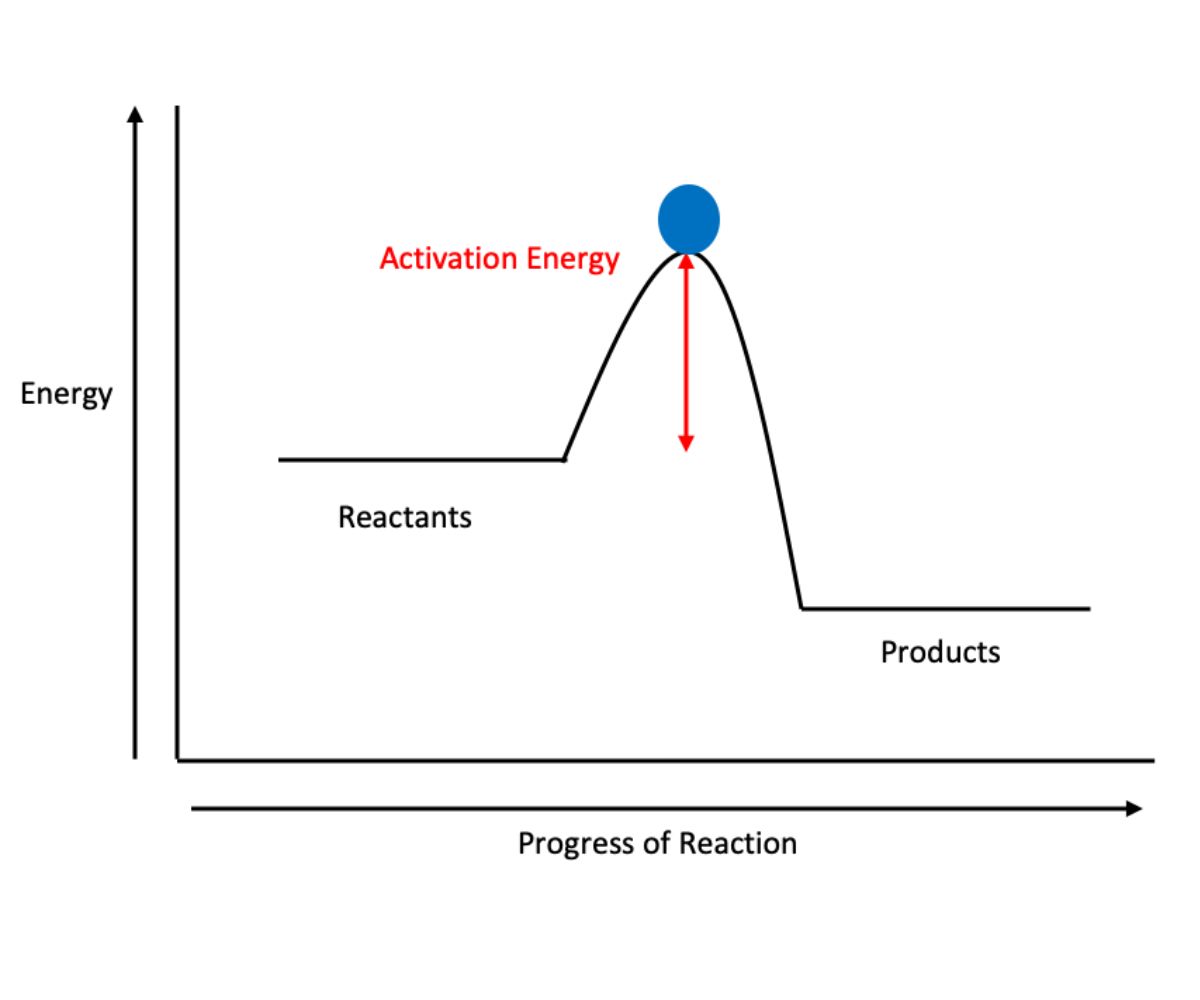 Figure 1: Reactants must climb the activation energy hill in order to form products.