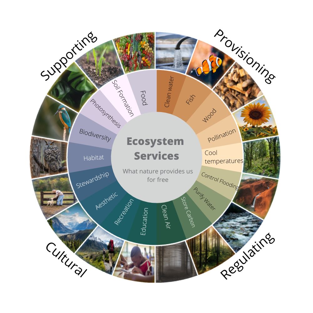 Figure 2: A range of services naturally supplied by ecosystems.