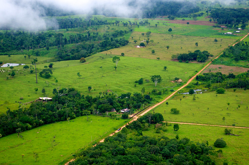 Figure 3: Land near Rio Branco, Acre, Brazil.