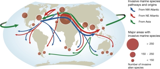 Figure 4: Major pathways of invasive species in the marine environment.