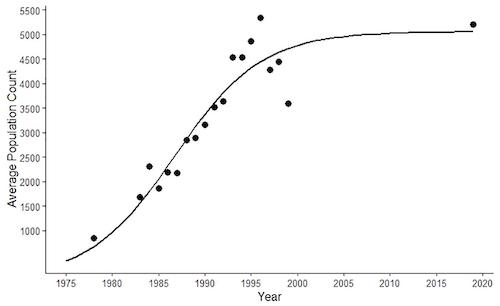 Figure 4: Size of harbor seal population in the San Juan Islands from 1978-2020 counts. 