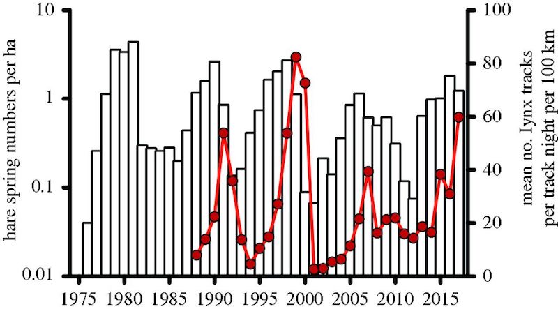 Figure 7: Population changes for snowshoe hares (black bars) and their lynx predators (red line) over time in the Yukon. 
