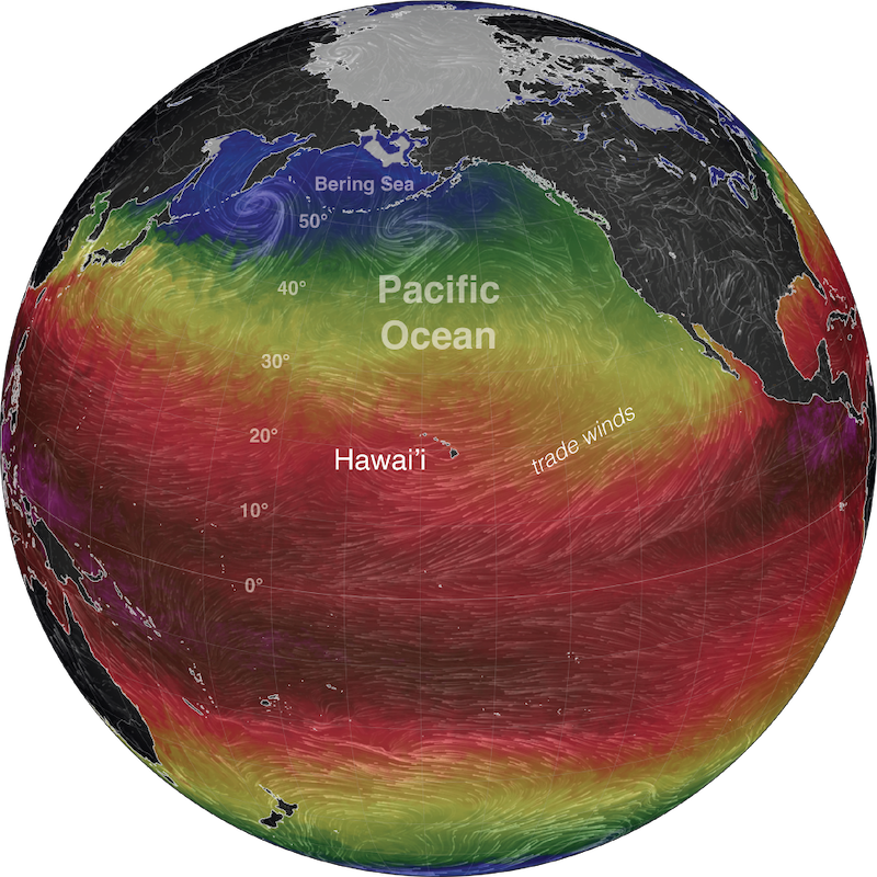 Figure 6: Map of the Pacific Ocean. The colors represent sea-surface temperature, with warmer temperatures in reds and cooler temperatures in blue. Curved white lines represent wind speed and direction.