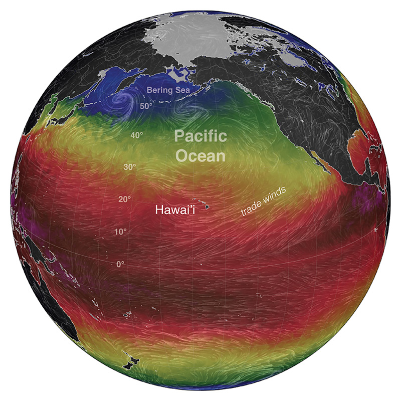 Figure 6: Map of the Pacific Ocean. The colors represent sea-surface temperature, with warmer temperatures in reds and cooler temperatures in blue. Curved white lines represent wind speed and direction.