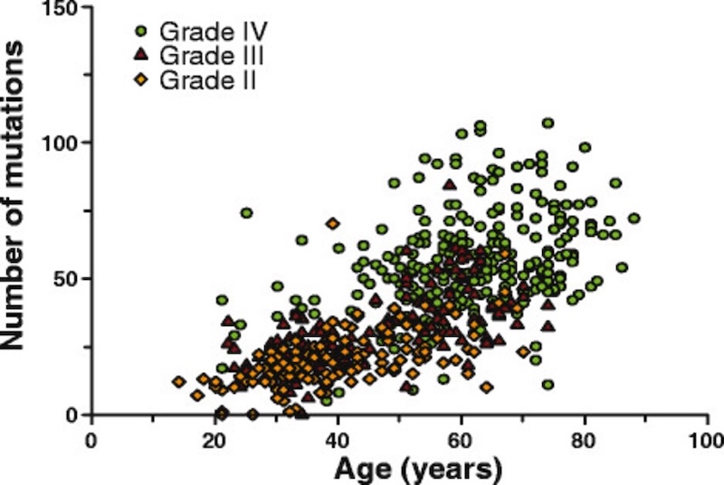 Figure 4: Mutations in diffuse glioma genes plotted by patient age (showing several grades of tumors ranging from least malignant II to most malignant IV).