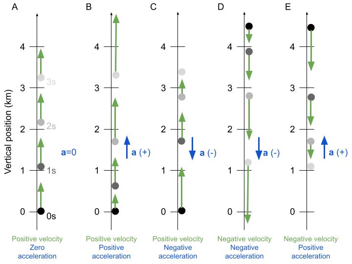 Figure 8: Motion diagrams for positive and negative acceleration examples. 
