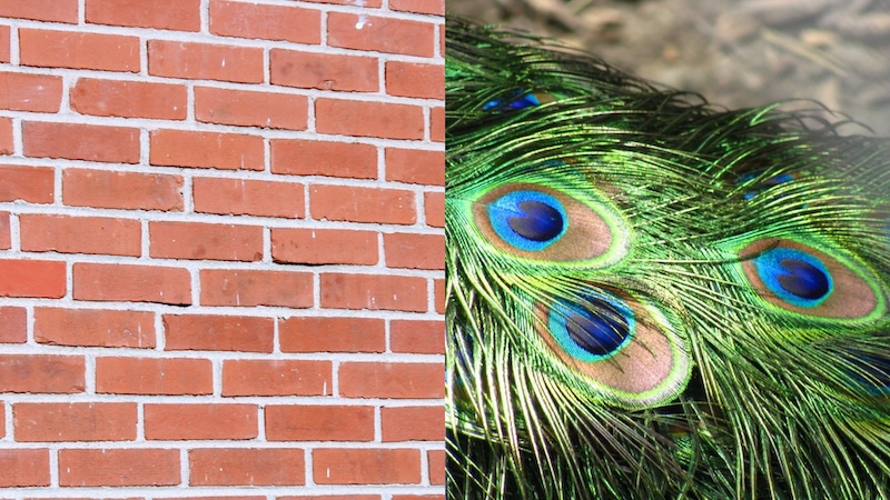 Figure 1: Bricks and feathers.