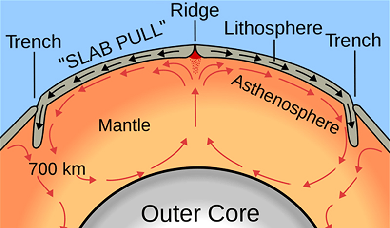 Figure 9: "Ridge push" and "slab pull" are both ways that gravity can act to keep a plate in motion. Note that arrows on convection cells and overlying plate are going in the same direction.
Figure modified from This Dynamic Earth, a publication from the US Geological Survey.