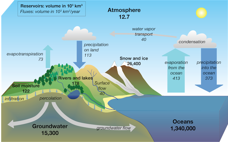 Figure 1: A depiction of the hydrologic cycle showing reservoirs and their volumes in bold and fluxes between reservoirs and their rates in italics.