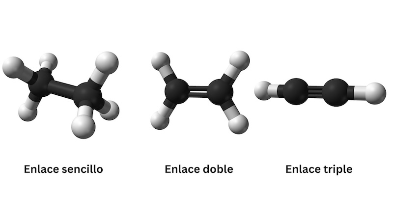 Figure 7: Types of carbon bonds.